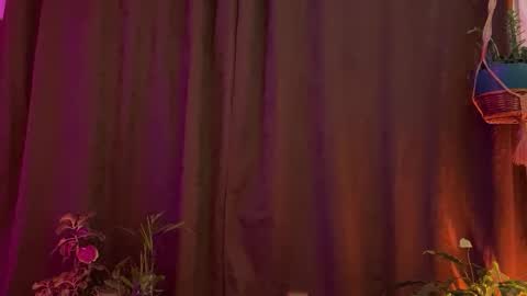  Camille   online show from March 2026 01:07:02 AM