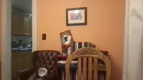 camunity online show from March 2026 03:39:01 AM