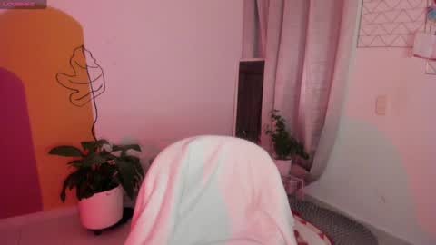   online show from December 2024 01:54:01 AM