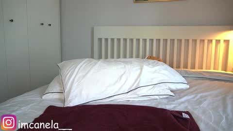 Snapshot of canelasungirl chatting on January 2025 04:36:01 AM Jency NEW IG IMCANELA   online show from January 2025 04:36:01 AM