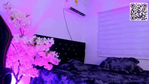 Snapshot of caramelo_exotico chatting on December 2024 03:05:02 AM Caramel online show from December 2024 03:05:02 AM