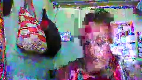 carinesexy69 online show from January 2025 10:40:02 AM