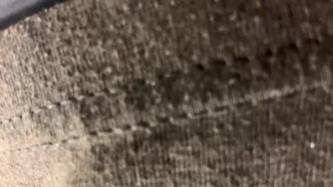 Carl1616 online show from April 2026 01:42:02 AM