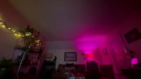 carlacee online show from March 2026 04:09:02 AM