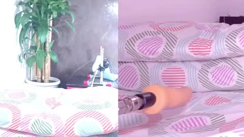 Carol online show from April 2026 11:04:02 AM