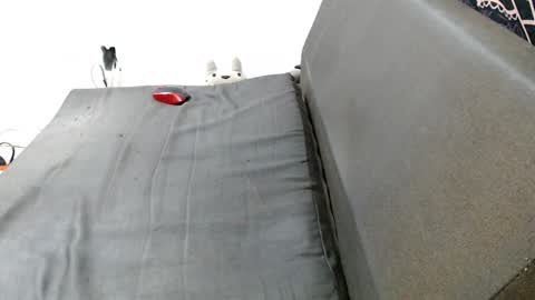 carol my sign is capricorn online show from December 2024 01:45:01 AM