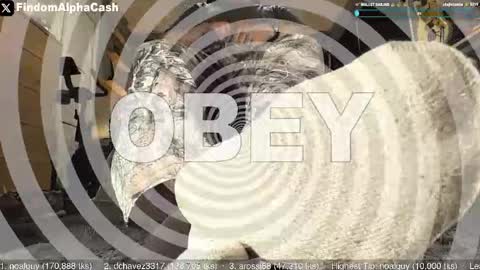 Snapshot of cashmastergrey chatting on May 2026 04:08:02 AM Master Grey online show from May 2026 04:08:02 AM