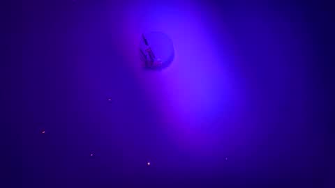 casidy1 online show from January 2025 06:00:01 AM