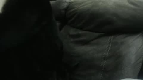 casidy1 online show from January 2025 10:32:02 AM