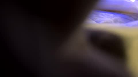 casidy1 online show from February 2025 03:58:02 AM