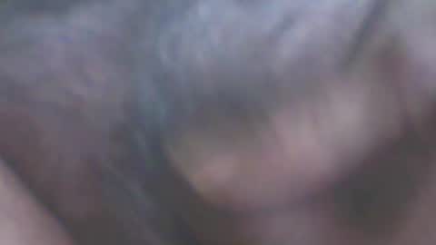 castells online show from September 2025 03:50:01 PM