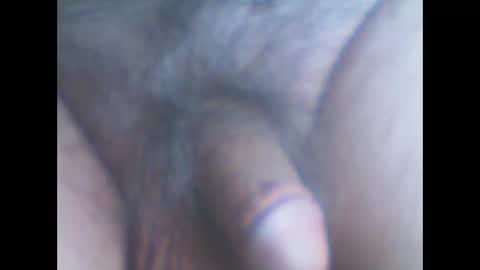 castells online show from October 2025 03:56:02 PM