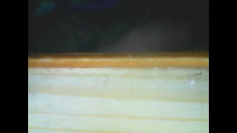 castells online show from December 2025 06:01:02 PM