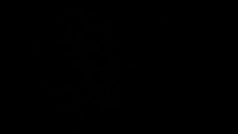 cata_n_cami online show from December 2024 10:08:02 PM