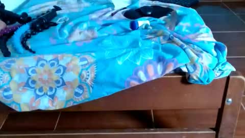 cataleya online show from January 2026 09:18:01 PM