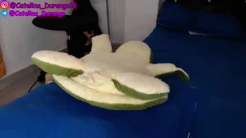 Catalina Durango  online show from November 2025 09:36:02 PM