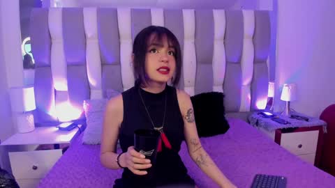 Cat  online show from December 2024 02:02:01 PM