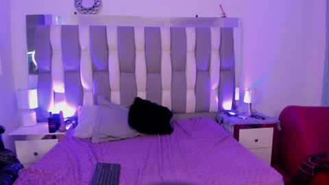 Cat  online show from December 2024 05:09:01 PM