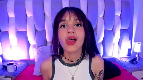 Cat  online show from December 2024 06:59:02 PM