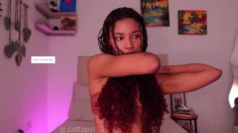 catta 3 online show from July 2026 06:34:02 PM