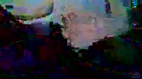 PureLeaf1990 online show from January 2025 03:32:02 AM