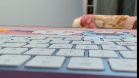 Snapshot of cbz112233 chatting on February 2026 06:04:02 PM ANNYANNY online show from February 2026 06:04:02 PM