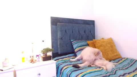 Cedrixx10 online show from December 2025 09:31:02 PM