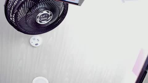 celeste_starsss online show from February 2025 08:00:02 AM