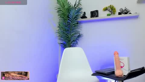 Celeste  online show from January 2025 09:04:01 PM