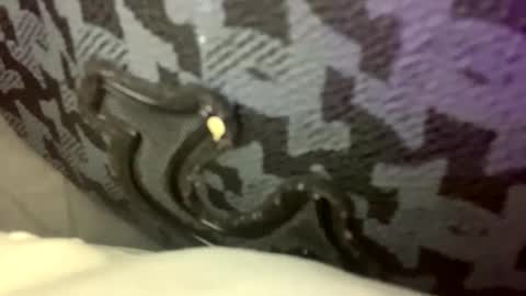 cezarthebreeder online show from February 2026 09:24:02 PM