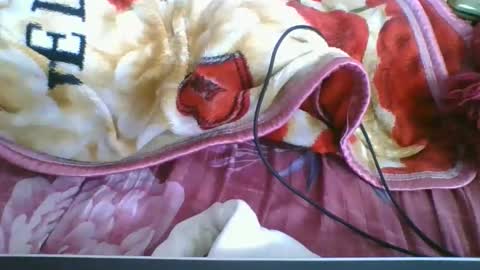 Snapshot of chantale483461 chatting on May 2026 05:18:02 PM chantale483461 online show from May 2026 05:18:02 PM
