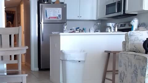 charleyandsmokie online show from October 2025 05:58:02 PM