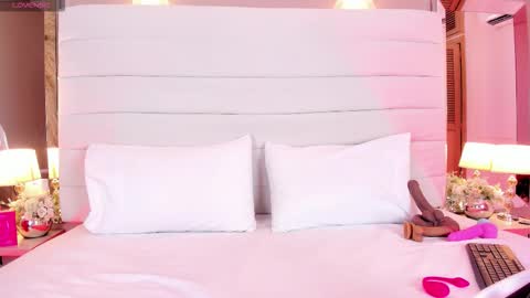 Charlotte online show from February 2026 11:51:01 AM