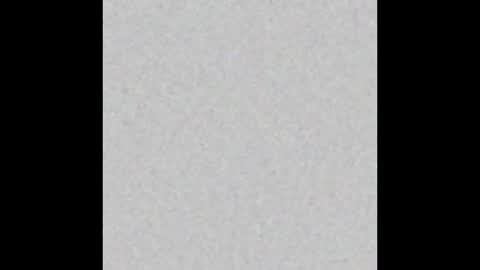 Charlotte online show from February 2026 07:28:01 PM