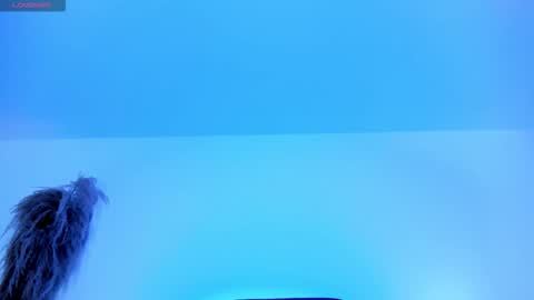 Charlotte  Everyday From 0700 to 1300 Col Time online show from October 2025 11:53:02 AM