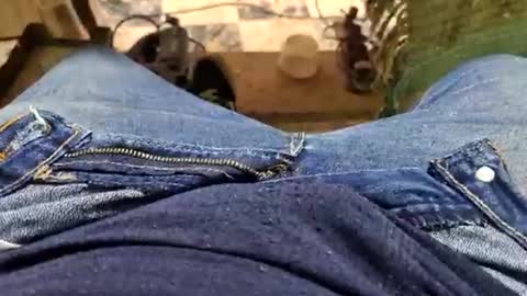 Parcero online show from September 2025 01:32:01 PM