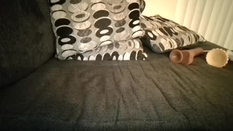 Daisy online show from January 2025 12:37:02 PM