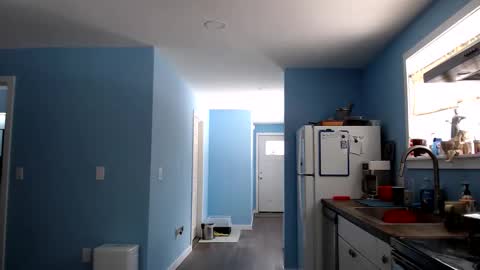 Snapshot of chelseasentra1 chatting on March 2026 04:12:02 PM Chelsea online show from March 2026 04:12:02 PM