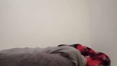 ChemicalX  online show from February 2026 11:31:02 PM