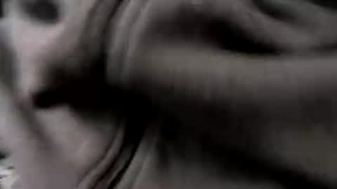 Snapshot of chicagosuburbs7 chatting on January 2026 05:17:01 PM chicagosuburbs7 online show from January 2026 05:17:01 PM