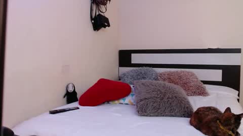 Snapshot of chikandela chatting on December 2024 10:45:02 PM Valentina online show from December 2024 10:45:02 PM