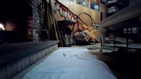 chippy70 online show from January 2026 07:45:01 AM