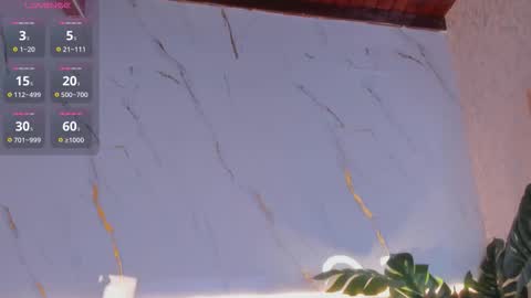 Chloee online show from December 2025 11:37:01 AM