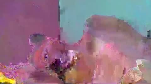 chololatblonde online show from February 2026 10:38:01 AM