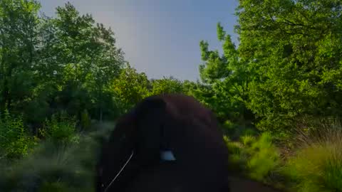 Christian online show from November 2025 07:51:01 AM