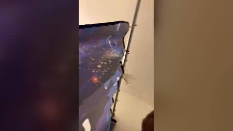 Mommy milf online show from April 2026 03:26:01 AM