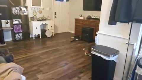 Snapshot of chubbyhubbyy420 chatting on September 2025 01:44:02 PM ChubbyHubby420 online show from September 2025 01:44:02 PM