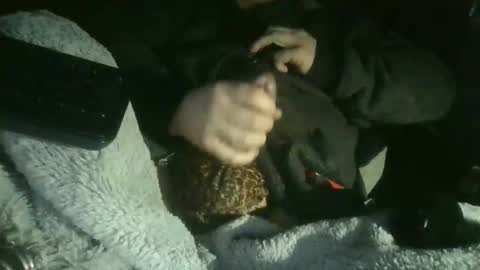 cisalo2501 online show from February 2026 06:50:02 AM