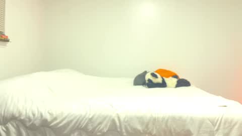 citoz online show from December 2024 05:59:02 AM