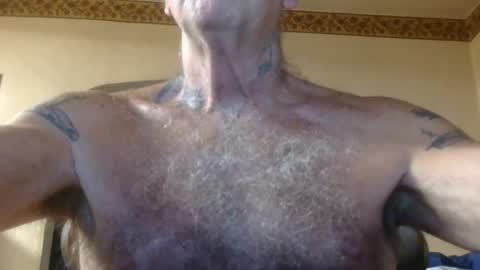Pizza online show from July 2026 08:41:02 AM